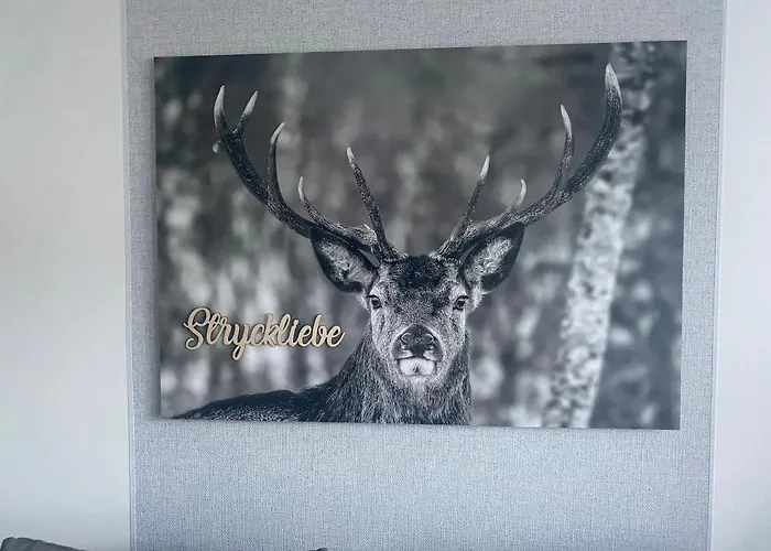 Stryckliebe Apartment Willingen (Upland)